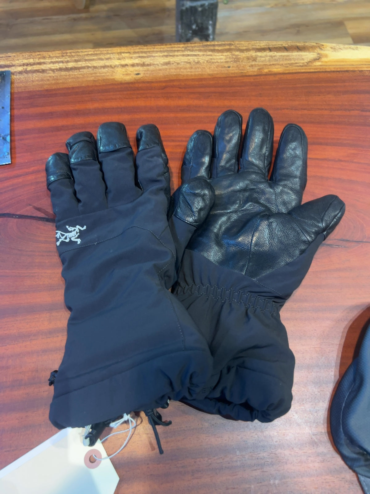 Arc'teryx Fission SV GORE-TEX Gloves Good L
