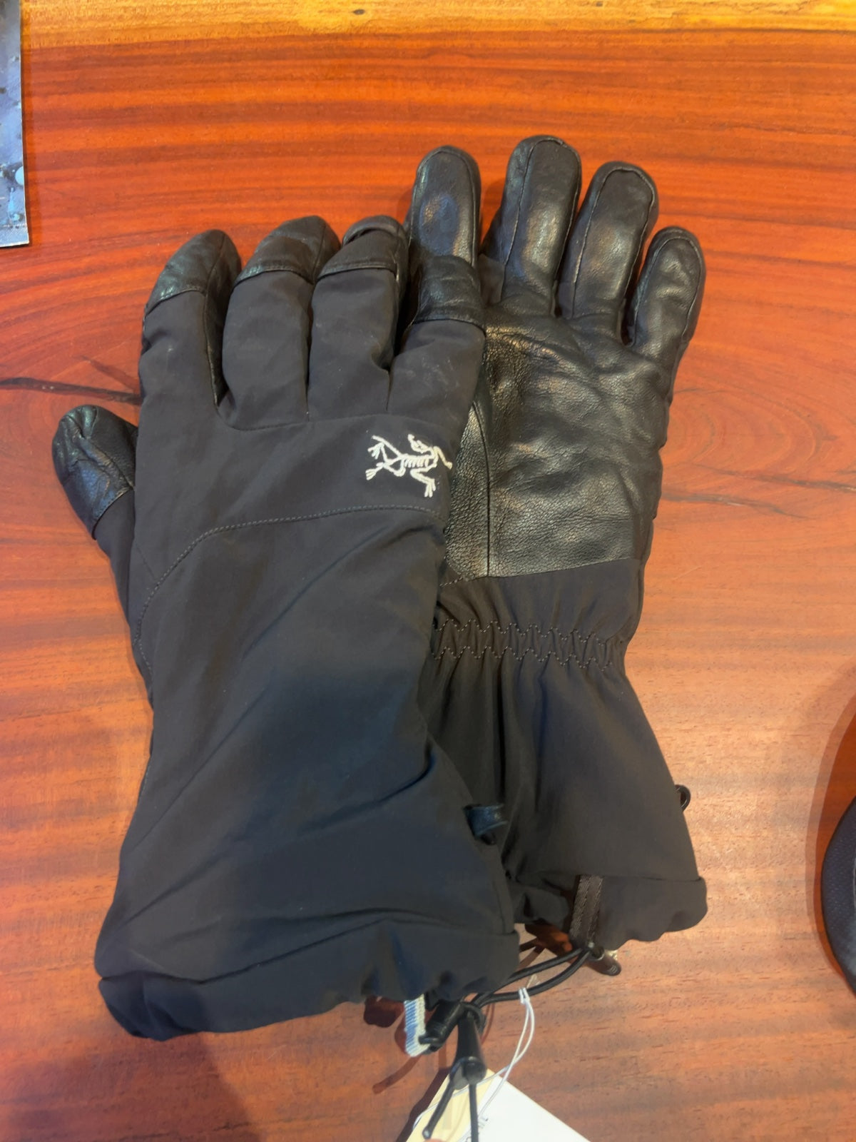 Arc'teryx Fission SV GORE-TEX Gloves Good L